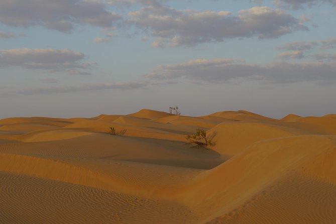 Private tour - Empty Quarter desert adventure - Wadi Dawka + Ubar - Is $195 per person a fair price?