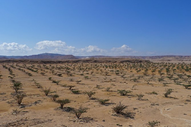 Private tour - Empty Quarter desert adventure - Wadi Dawka + Ubar - Ubar, the lost city of the desert