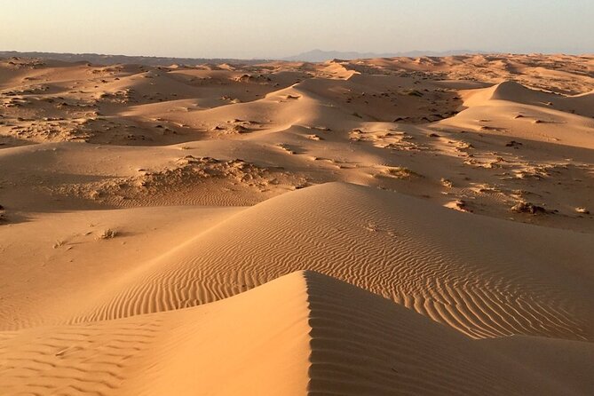 Private Transfer from Muscat to Wahiba Sands Desert - Why a private car can be worth the price