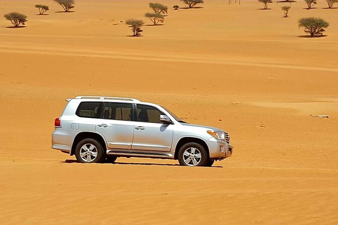 Private Transfer from Muscat to Wahiba Sands Desert - Timing, weather, and a sensible travel plan