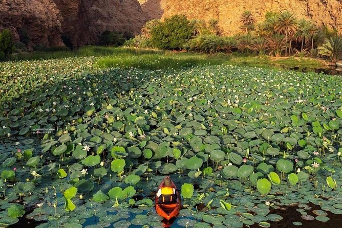 Private Trip in Wadi Shab - Key points to know before booking