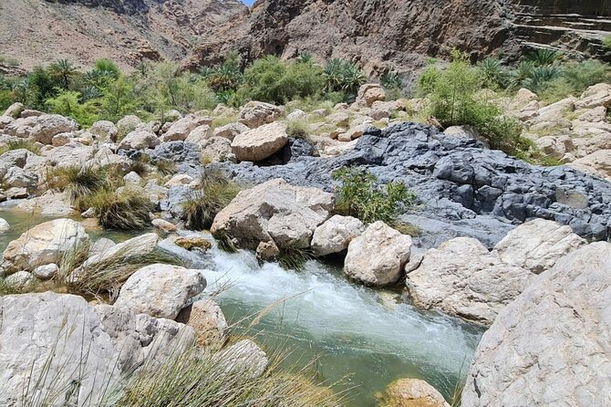 Private Wadi Arbyeen - Sinkhole - White Sand Beach- Full Day Tour - Who will enjoy this day most