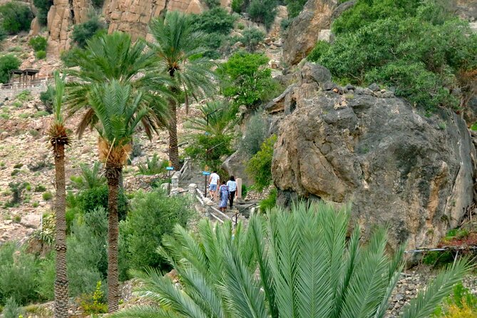 Private Walking Tour in Nakhal and Wakan Valley - What Makes This Day Trip Worth Considering