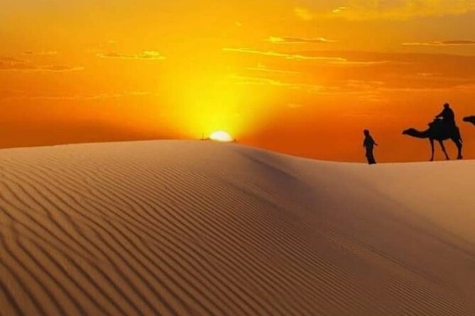 Private Watching Sunrise in the Desert - Early Morning Tour - The guides and the feel of the service
