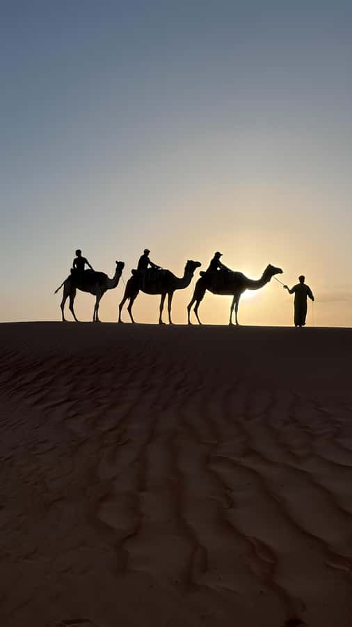 Safari World Zoo and Wahiba Sands with Sunset - Key points to know before booking