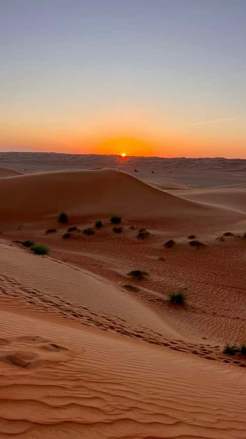 Safari World Zoo and Wahiba Sands with Sunset - Dinner at Sama al Wasil Camp or a similar site