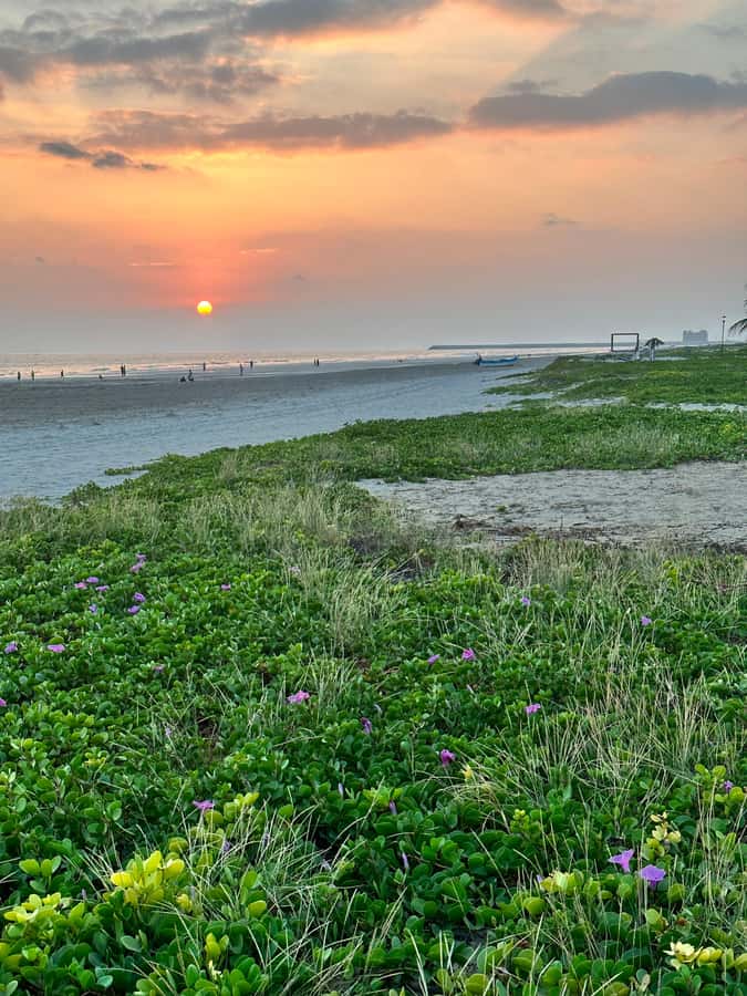 Salalah a combination of East and West tour - Why this East and West route works