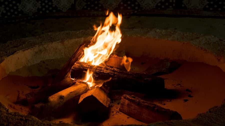Salalah: Bedouin Tent Night Stay in Desert + Sunset Safari - Wadi Dawkah and Dhofar’s frankincense trees