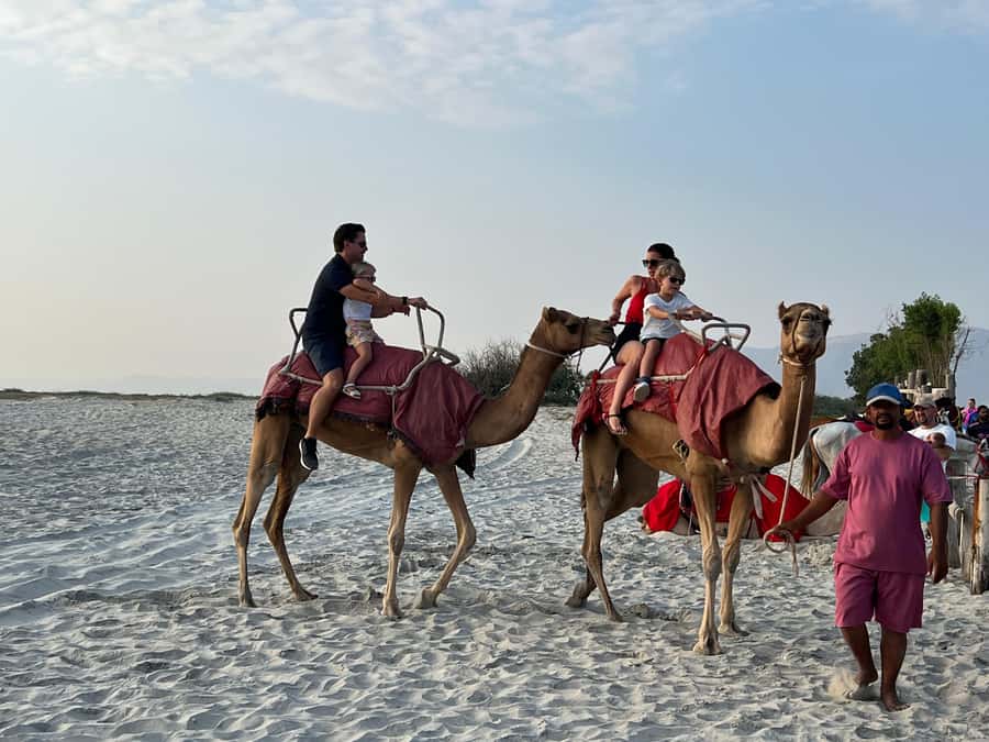 Salalah: Camel Riding on the Beach - Key points before you book