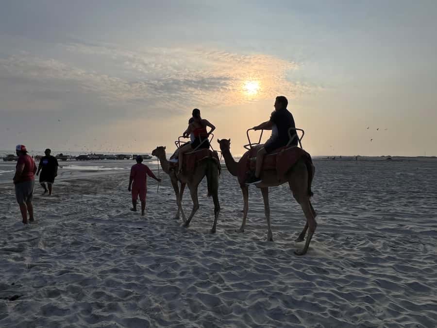 Salalah: Camel Riding on the Beach - A quiet ride beside Salalah’s Indian Ocean