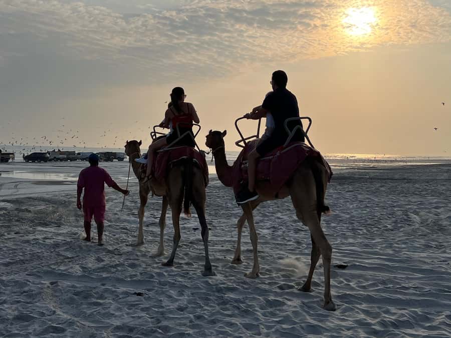 Salalah: Camel Riding on the Beach - Why sunset changes the value