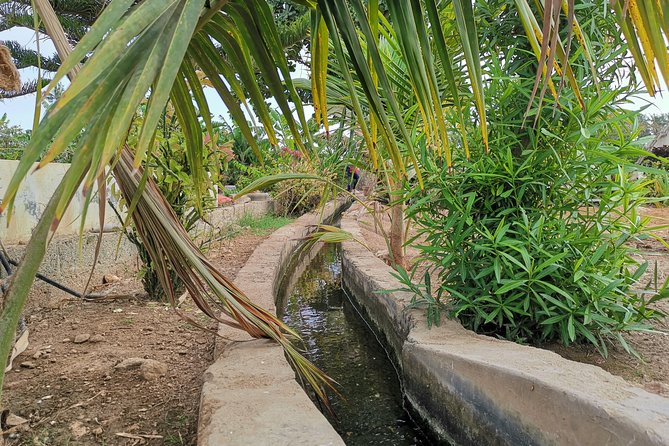 Salalah City private tour - all-inclusive sightseeing tour - Al Husn Souq, follow the scent of frankincense
