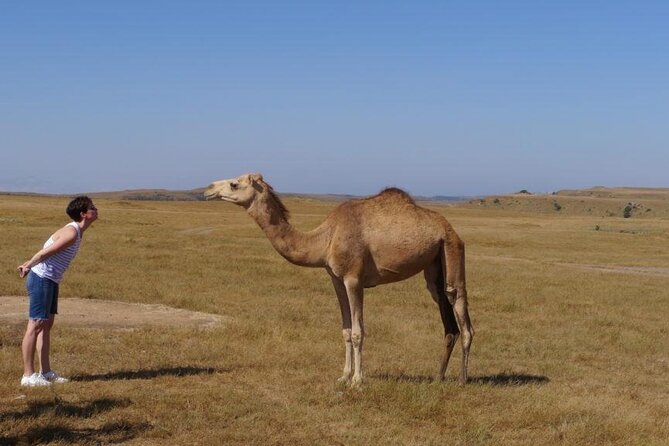 Salalah City Tour - Is $180 per person fair value?