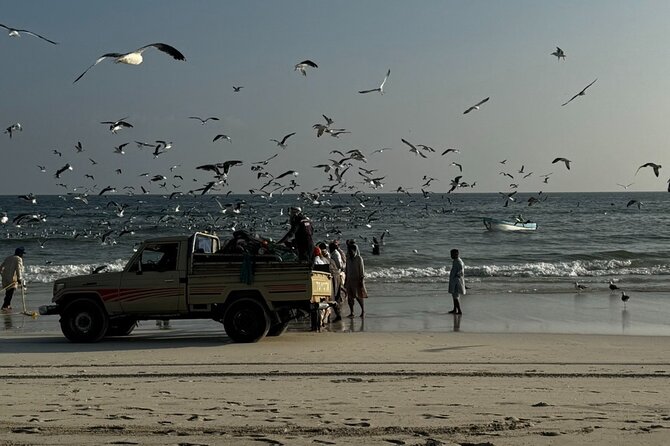 Salalah City Tour: Discover Salalahs Treasures with a Local Guide - How the private format changes the experience