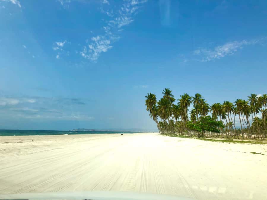 Salalah City Tour: Discover the Best of Oman’s Coastal Gem - Al Hosn Palace gates: a brief royal photo stop