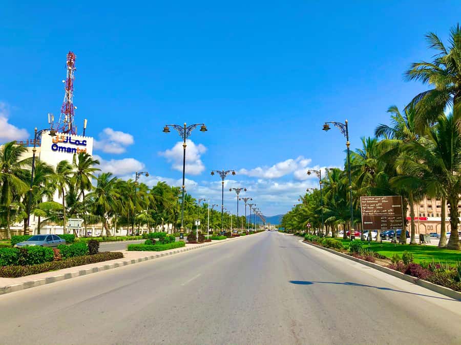 Salalah City Tour: Discover the Best of Oman’s Coastal Gem - Sultan Qaboos Mosque: start with Omani design and etiquette