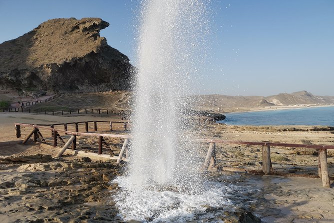 Salalah City Tour + West Coast Combo (Mughsail beach, blowholes) - Key points at a glance