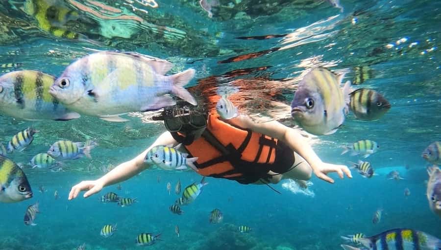 Salalah: Discover Mirbat's Snorkeling Paradise Guided Tour - From Salalah to Mirbat and Eagle Bay