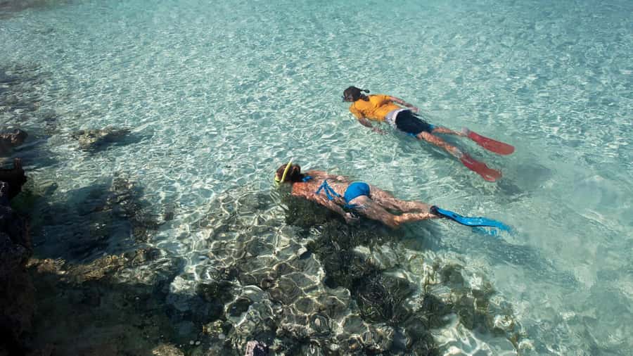 Salalah: Discover Mirbat's Snorkeling Paradise Guided Tour - What to pack for Eagle Bay