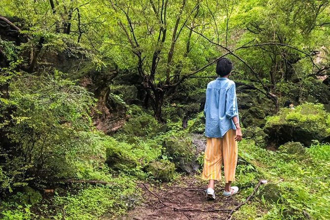 Salalah East Tour (Full Day Tour) - Samharam and the Frankincense Route