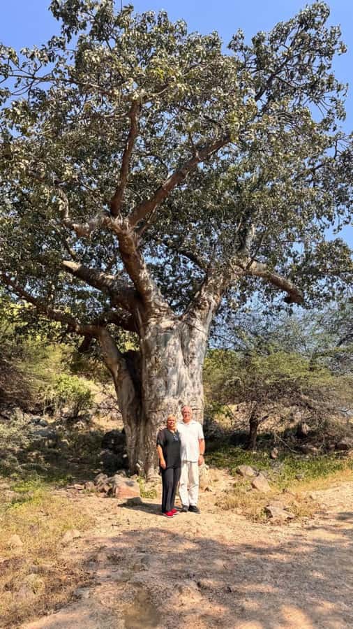 Salalah East Tour: Taqah , Darbat waterfall,camel's baobab - Is $117 a fair price?