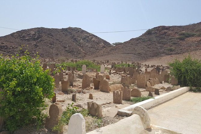 Salalah East & West Combination(Salalah tours):Oman Shore excursions - Mirbat shows a different side of old Dhofar