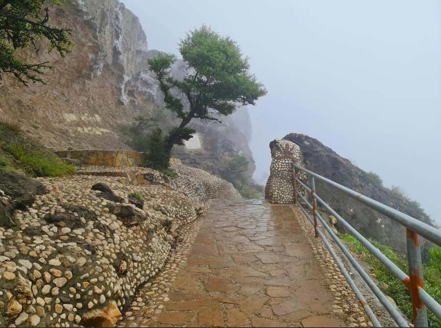 Salalah: Half-Day Guided Tour to Wadi Darbat & Mount Samhan - Should you book the Wadi Darbat and Mount Samhan tour?
