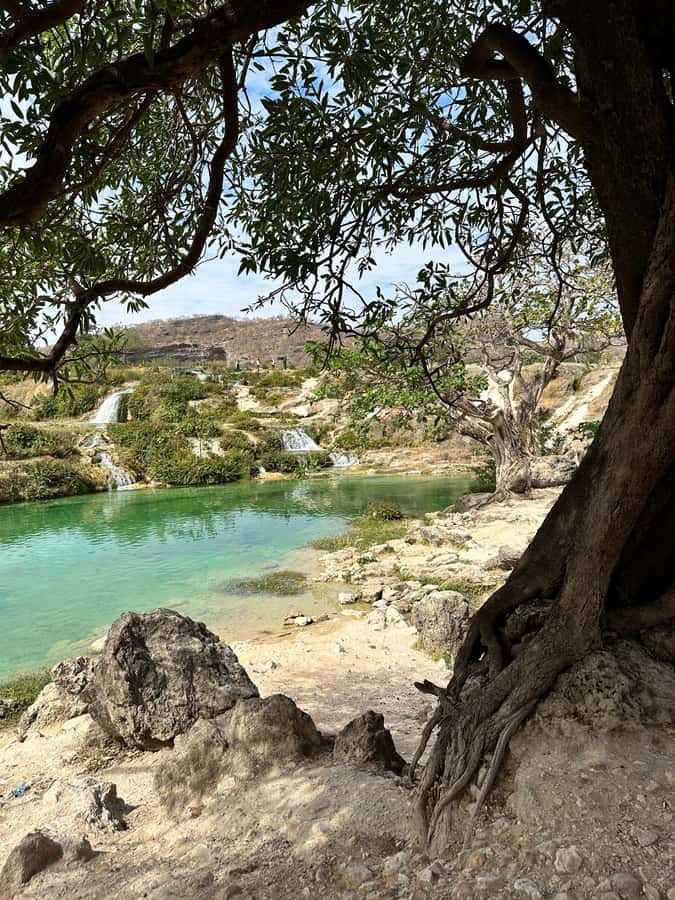 Salalah: Half-Day Guided Tour to Wadi Darbat & Mount Samhan - Taqah Beach brings a calm beginning