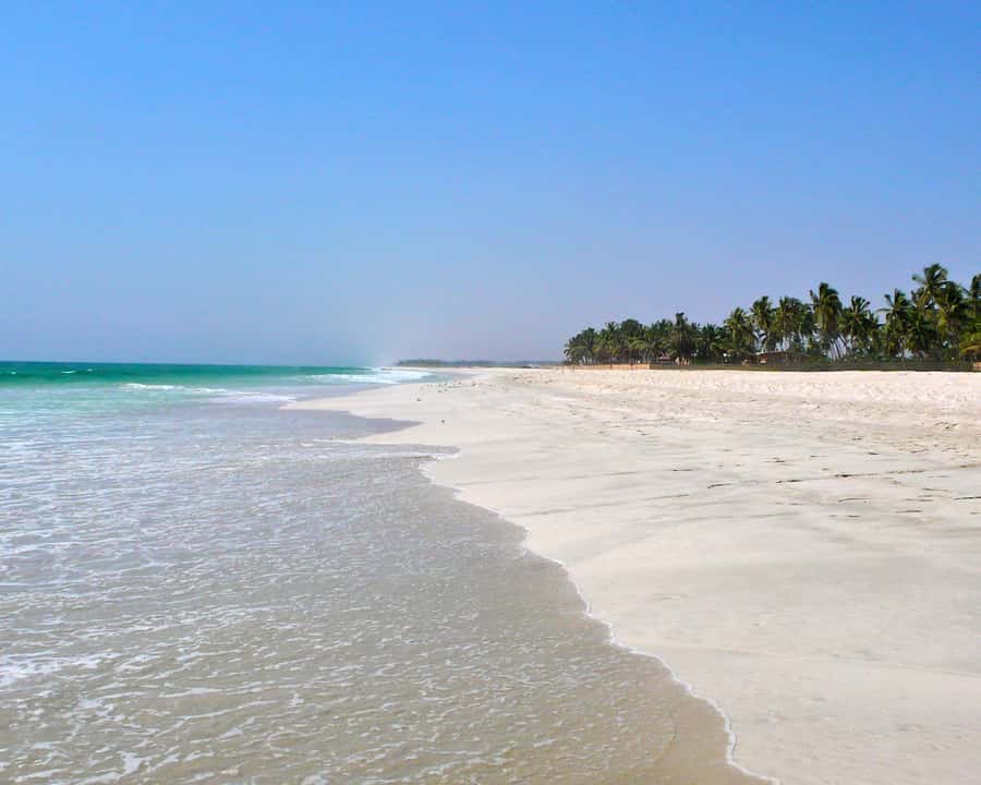 Salalah: Horse Riding by the Beach - Key points before you book