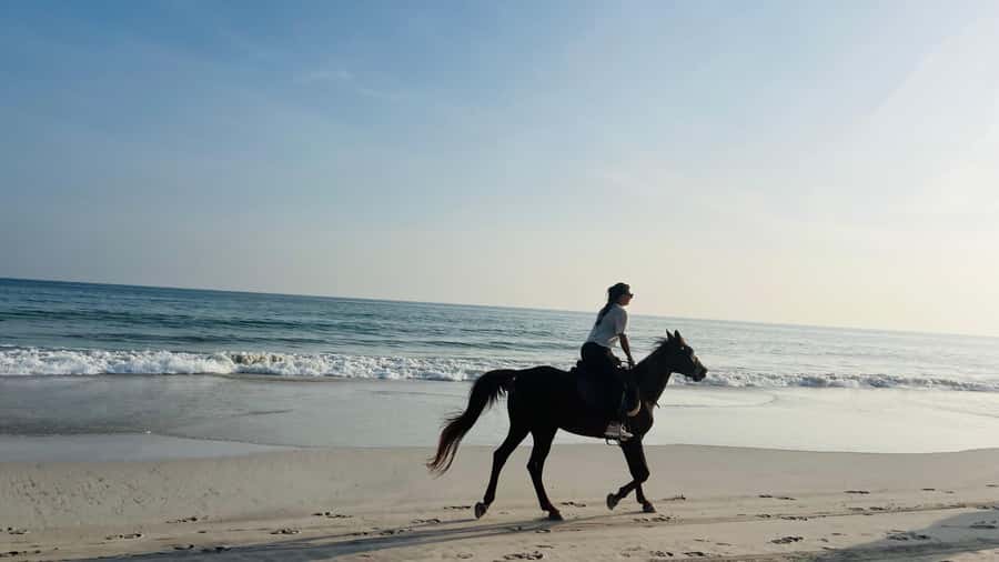 Salalah: Horse Riding by the Beach - Riding beside the Arabian Sea