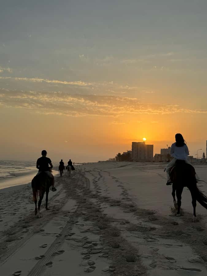 Salalah: Horse Riding by the Beach - Practical preparation for a smoother ride