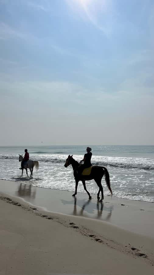 Salalah: Horse Riding by the Beach - The experience in one short route