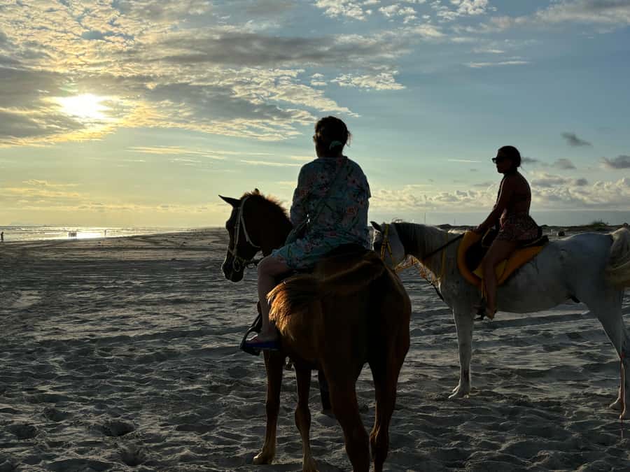 Salalah Horse Riding on the Beach optional Hotel Pick & Drop - Key points at a glance