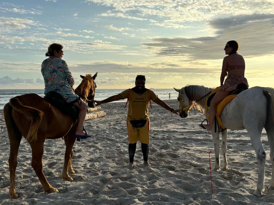 Salalah Horse Riding on the Beach optional Hotel Pick & Drop - What the Salalah beach ride is really like
