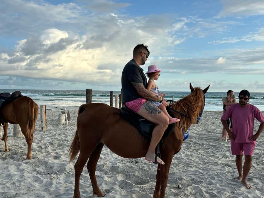 Salalah Horse Riding on the Beach optional Hotel Pick & Drop - Choosing between 30 minutes and one hour
