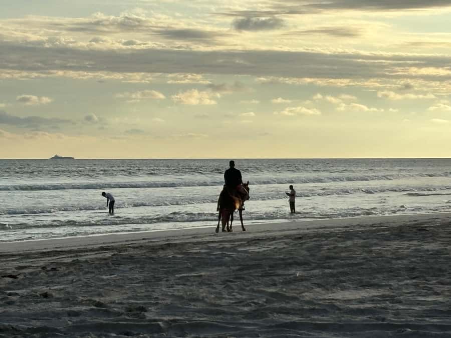 Salalah Horse Riding on the Beach optional Hotel Pick & Drop - Sunset, sea, and the best part of the ride