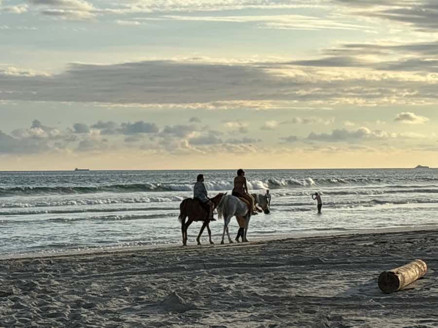 Salalah Horse Riding on the Beach optional Hotel Pick & Drop - How much value do you get for $36?