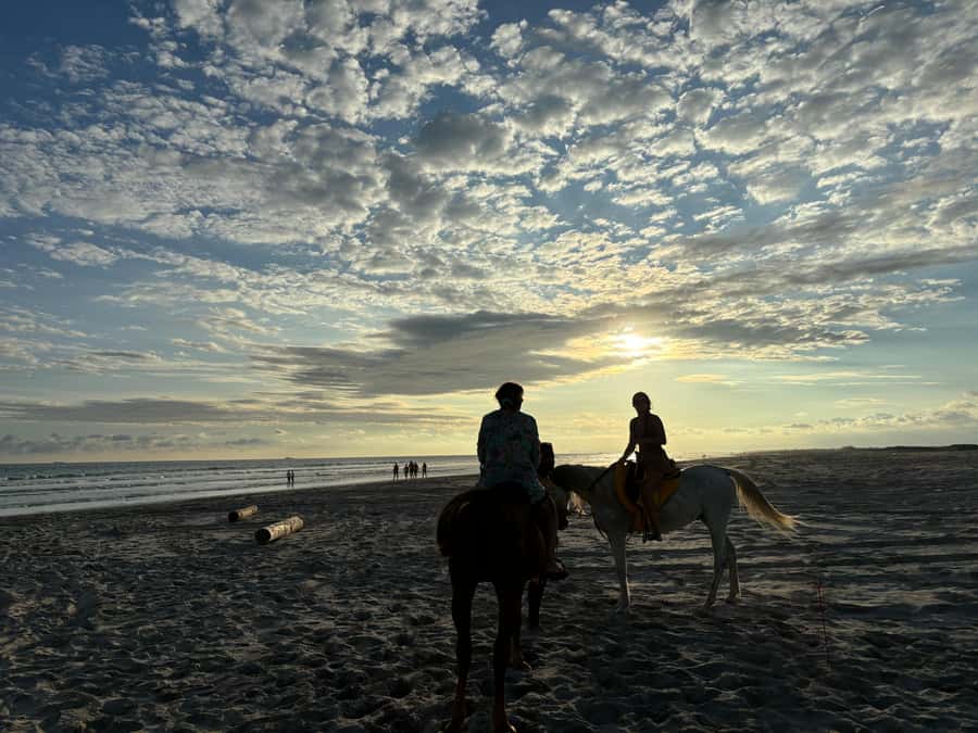 Salalah Horse Riding on the Beach optional Hotel Pick & Drop - Who should book this experience?