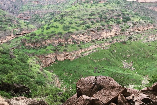 Salalah Mountain Safari Tour 2(Full Day Tour) - Valley of Baobabs, giant trees beside water