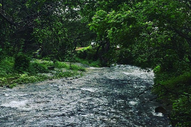Salalah Mountain Safari Tour 2(Full Day Tour) - Tawi Ateer Sinkhole, the well of birds