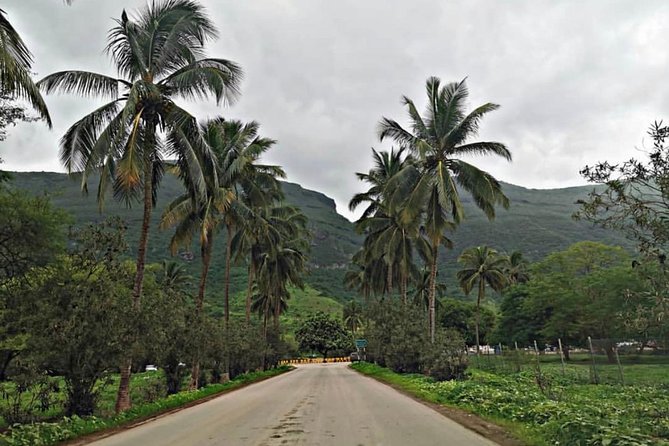 Salalah Mountain Safari Tour 2(Full Day Tour) - Samhan Mountain, views from 2,100 meters