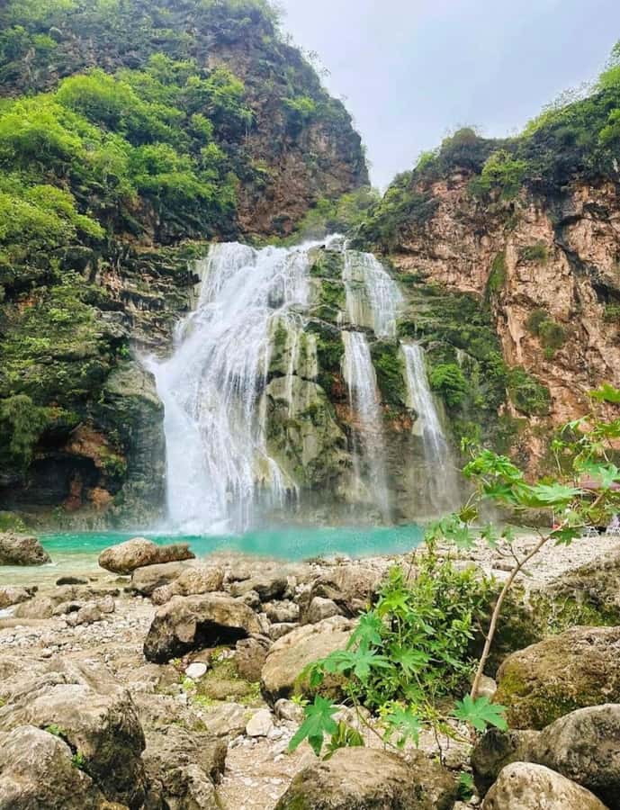 Salalah: Wadi Darbat, ,Teeq Cave - Baobou Trees Tour - Taqah Castle: an architectural photo stop