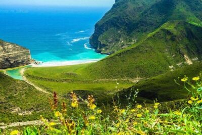 Salalah White Beaches & Panoramic Views of sea (Full Day Tour)