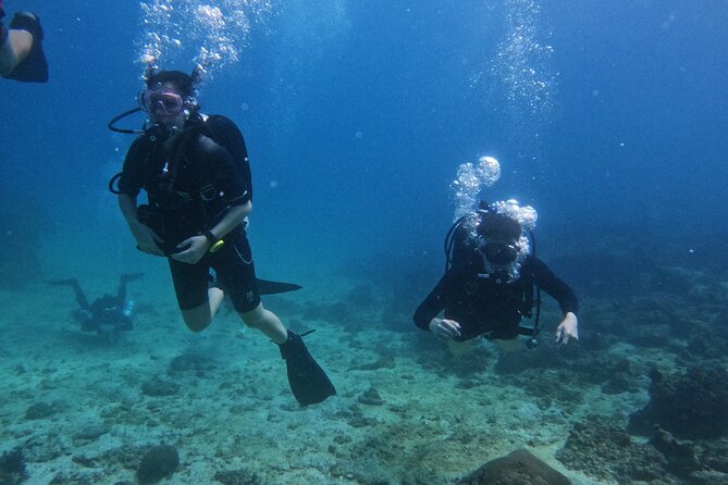 Scuba Diving Adventure in Musandam, Oman - The first underwater site, including Lima Rock