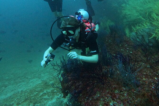 Scuba Diving Adventure in Musandam, Oman - The second site and the break between sessions