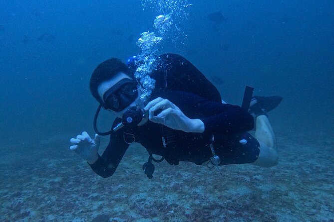 Scuba Diving Adventure in Musandam, Oman - What to pack for a smoother morning