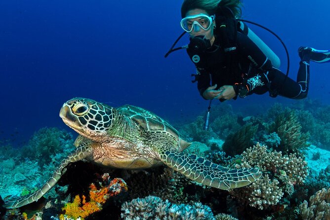 Scuba Diving to Dimaniyat Islands Muscat Oman - Key points to know before booking