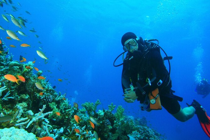 Scuba Diving to Dimaniyat Islands Muscat Oman - Reaching the Daymaniyat Islands from Muscat