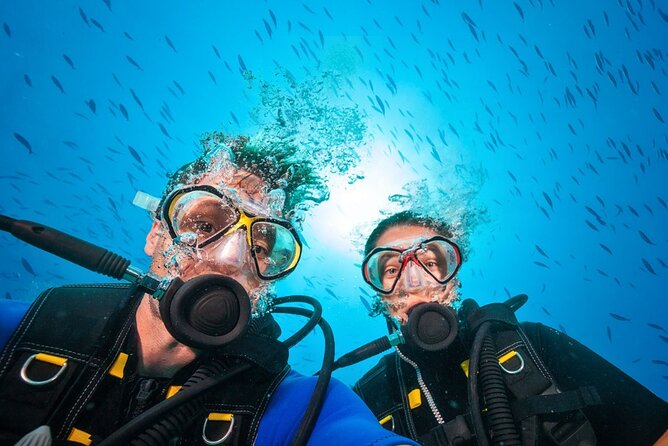 Scuba Diving to Dimaniyat Islands Muscat Oman - How the five-hour schedule feels
