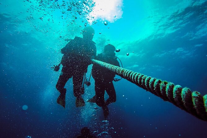 Scuba Diving to Dimaniyat Islands Muscat Oman - What you may see beneath the surface